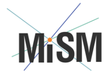 MISM_Logo