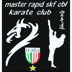 ASD Master Rapid SKF CBL"